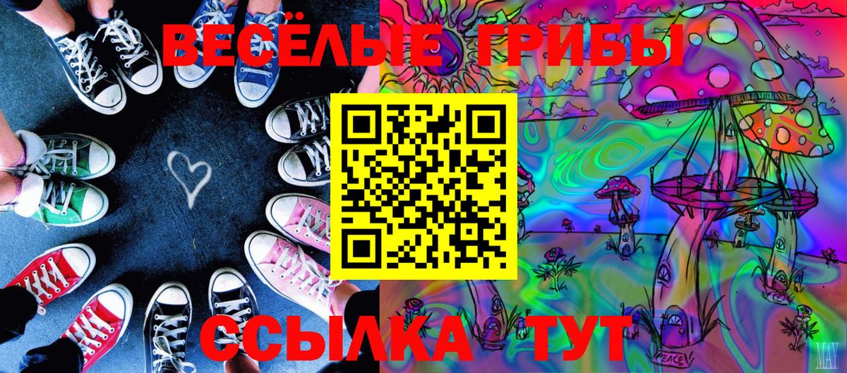 Богданович  Галлюциногенные грибы Psilocybine cubensis  Вход с VPN 